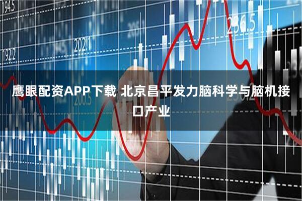 鹰眼配资APP下载 北京昌平发力脑科学与脑机接口产业